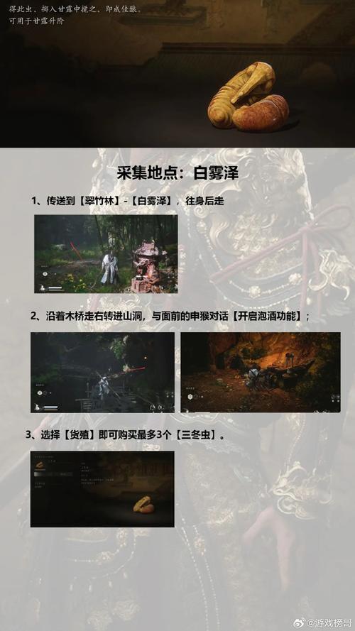 黑神话，悟空盘丝岭深度探索，三冬虫寻觅全攻略大公开！