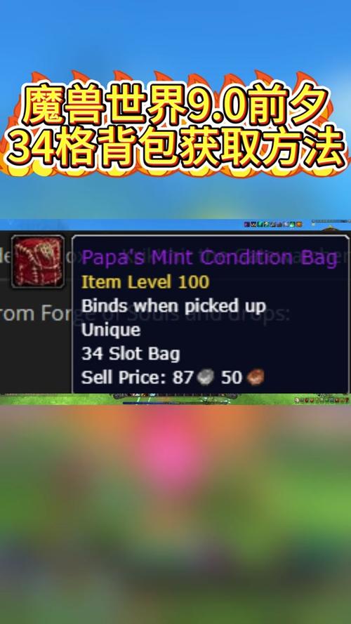 魔兽世界怀旧服16格包,解锁传奇背包的冒险之旅