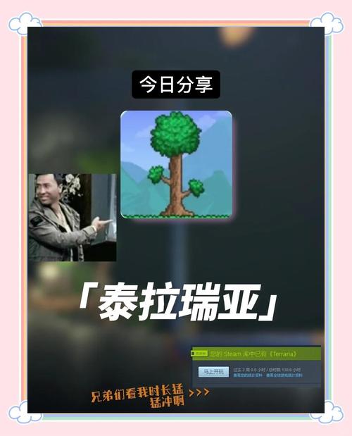 泰拉瑞亚向导真实身份解密介绍，探索无限可能的奇幻世界