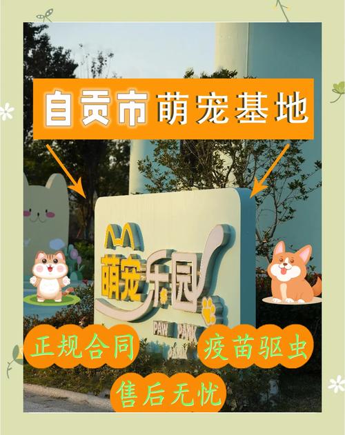 宠物基地手游震撼发布,开箱模拟新体验,萌宠养成乐无边!