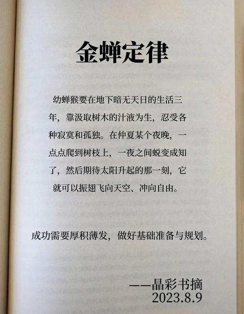 龙之谷药剂秘籍，从新手到高手的奇幻蜕变之旅全面揭秘