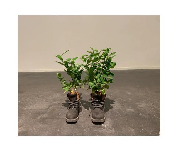 不幸小姐手游下载开启,剧情深刻,探索命运交织的奇幻之旅