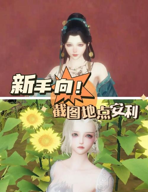 剑网3手游画质优化全攻略，NVIDIA设置深度解析及趣味玩法揭秘