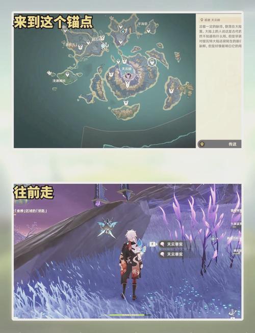 原神天云草实采集点全攻略，探索稻妻的奇妙之旅