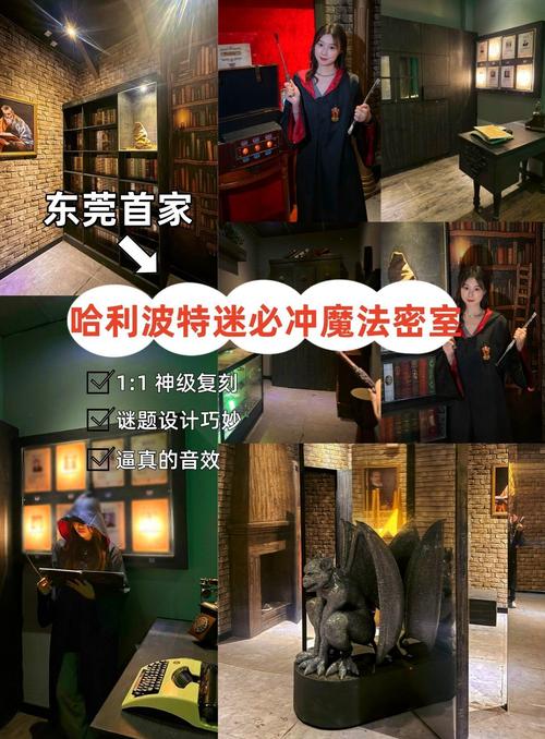 哈利波特,学院密室探索手游资讯——解锁未知休息室,开启魔法冒险新篇章