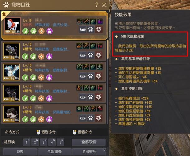 黑色沙漠手游装备发放全攻略,解锁无限战斗乐趣的秘籍