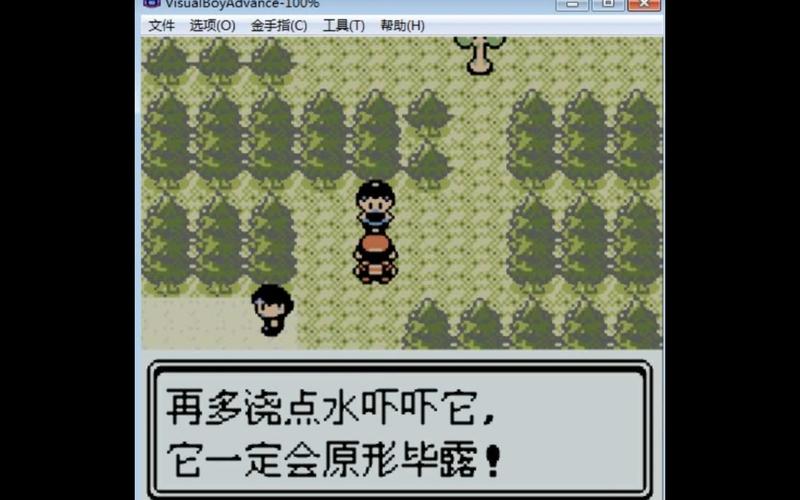 口袋妖怪金版旋涡岛,探险之旅的奇幻新篇章震撼来袭!