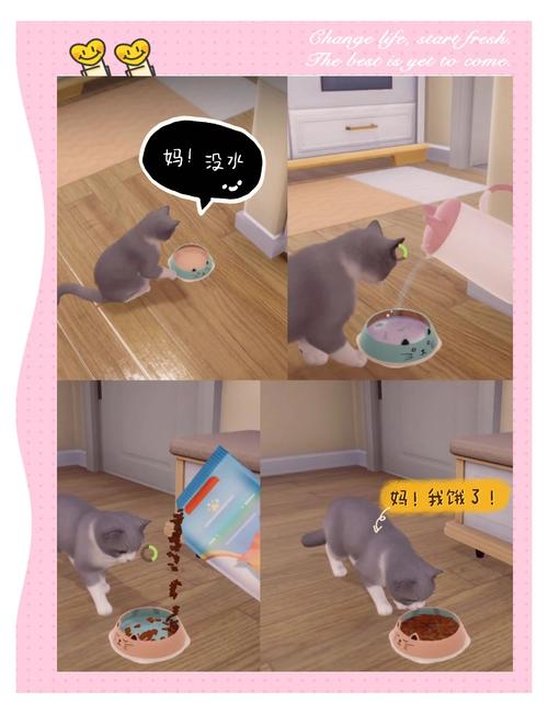来喵下载，探索休闲养成新境界的猫咪养成游戏