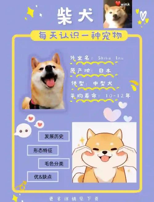 阴阳师柴犬加成效果及解锁技巧全面剖析,萌宠助力,战斗更轻松!