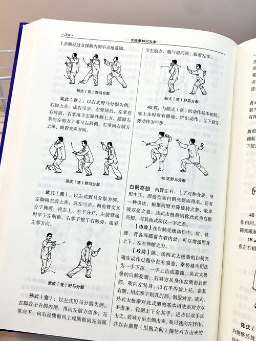 九阴真经手游太极拳深度解析,以柔克刚的武学奥义与趣味玩法