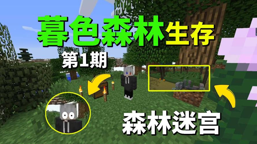 我的世界暮色森林魔法地图制作全攻略,探索奇幻世界的秘密