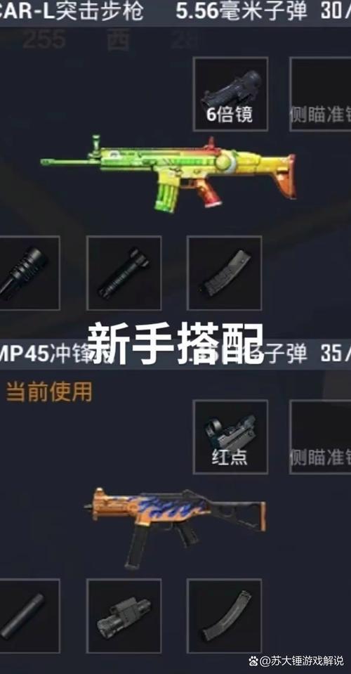 和平精英高手必备，两把枪搭配攻略及趣味玩法揭秘