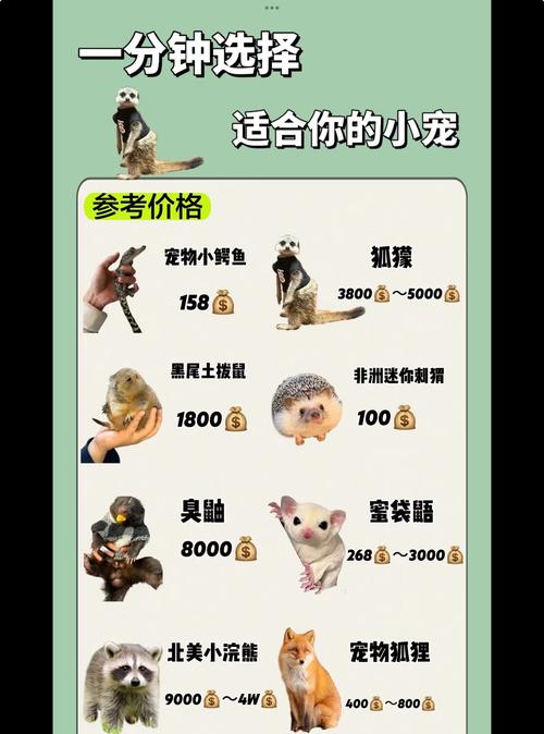 代号生机宠物系统全解析，如何挑选你的最佳伙伴？