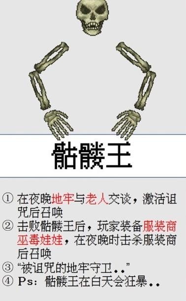 泰拉瑞亚如何召唤神秘骷髅王，全面攻略与趣味玩法解析