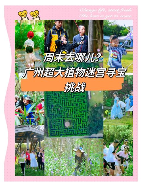 幻塔雪鹃寻觅之旅，珍稀植物获取位置与趣味玩法揭秘
