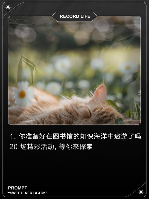 填充图书馆下载,探索知识海洋的休闲益智新体验