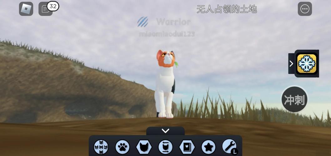 猎猫达人速成,怪物猎人中的猫车操作宝典手游全攻略