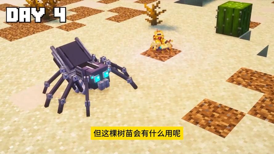 我的世界Survivalcraft，探索蜘蛛丝的秘密与趣味玩法