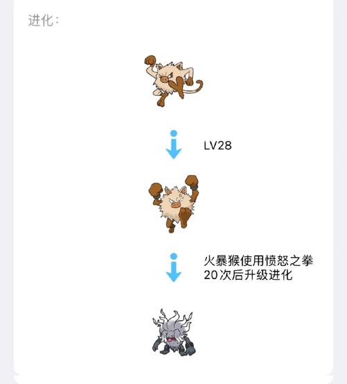 宝可梦朱紫宝主挑战顺序全攻略,解锁隐藏趣味玩法指南