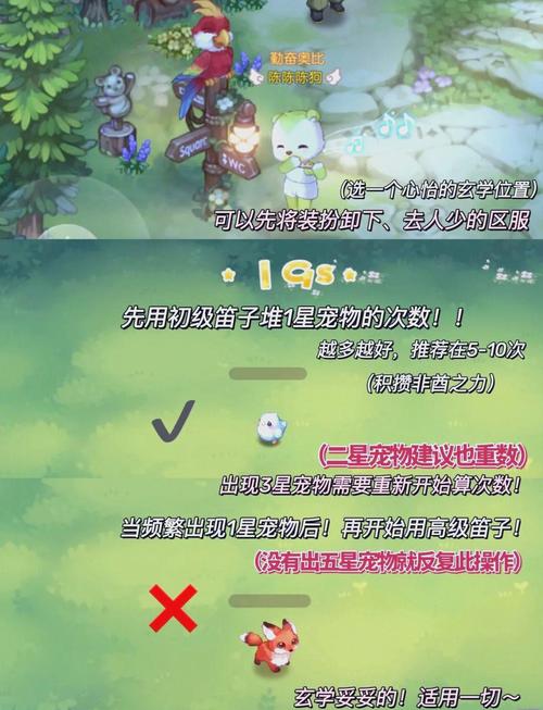 少女前线蜜獾获取全攻略,揭秘轻松捕获心仪蜜獾角色的秘诀