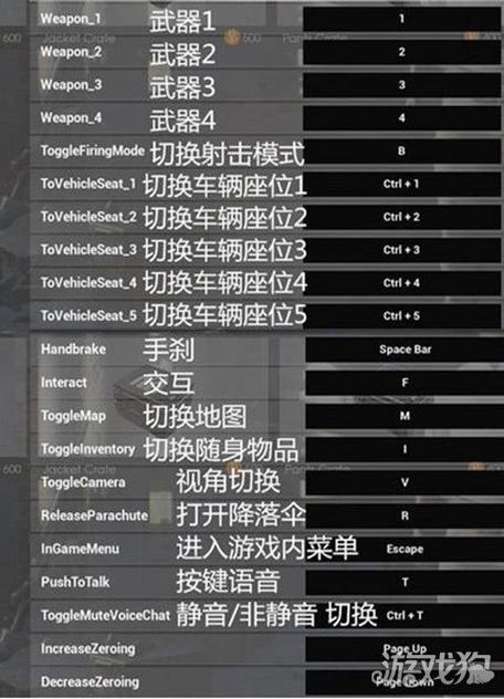 绝地求生大逃杀激活码使用指南及趣味玩法揭秘
