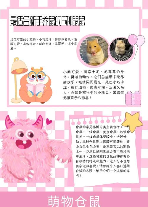 仓鼠星球Android版火爆上线,萌宠养成新潮流,休闲玩家的不二之选