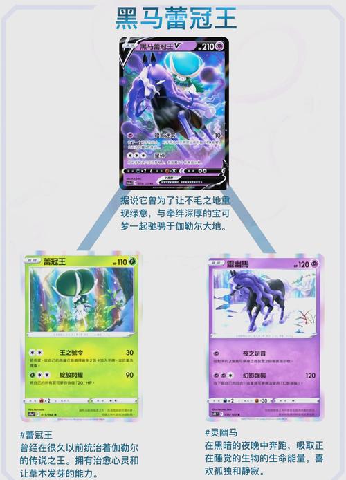 宝可梦剑盾王冠道具详解及趣味玩法探索