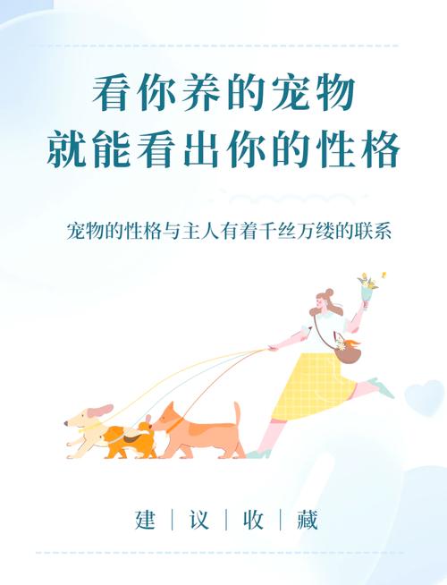 凌云诺主角最佳宠物选择推荐,最新强力宠物深度解析与实战攻略大揭秘